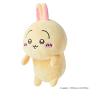 Posture Pal - CHiiKAWA A9