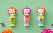 Flower Gift F6