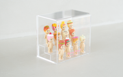 Acrylic Display Case H0