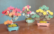 Play Plants Bonsai Puzzles T3