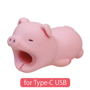 CABLE BITE for Type-C USB N9