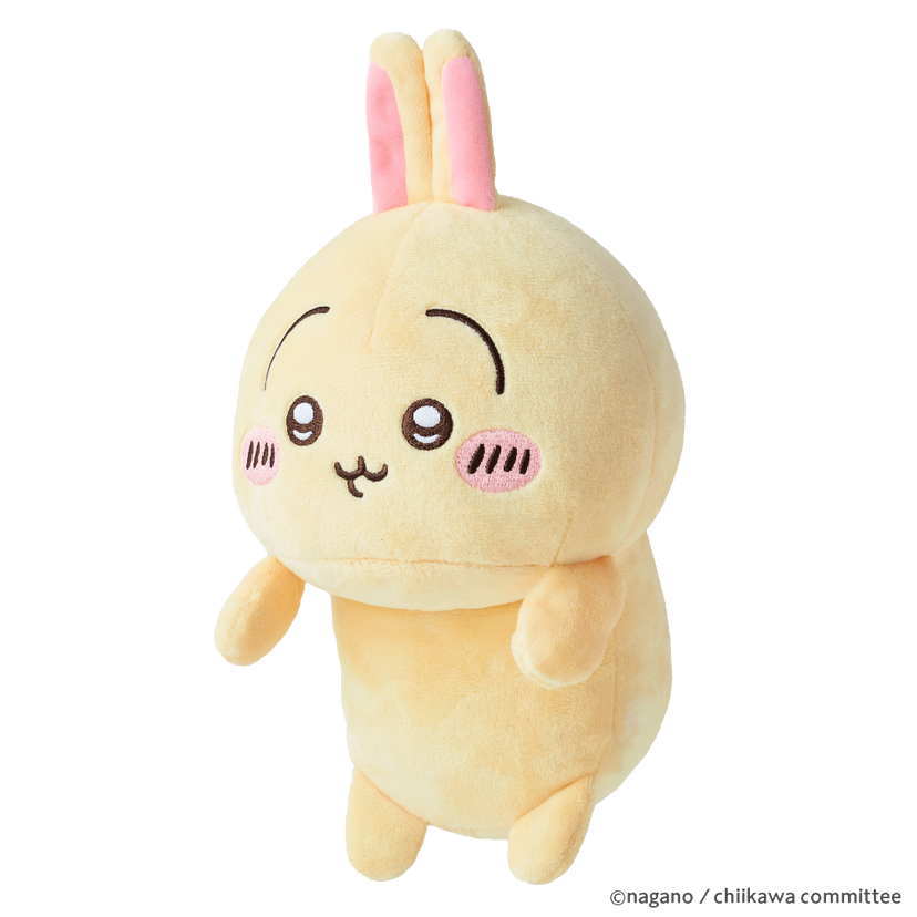 Posture Pal - CHiiKAWA A9