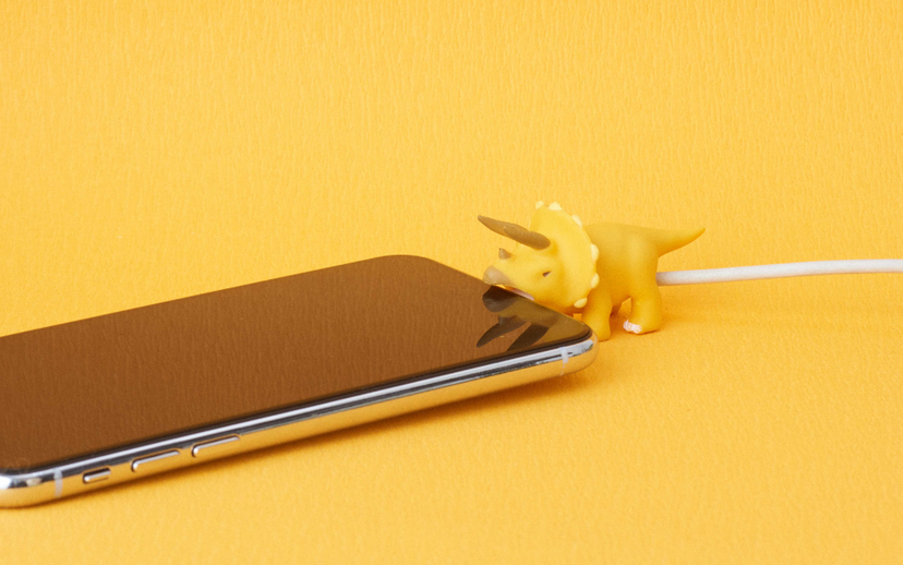 CABLE BITE Dino M2