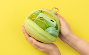 SMISKI Cushion Pouch T0