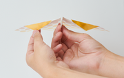 Papillon Origami Airplanes W8