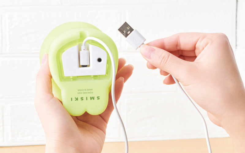 SMISKI Touch Light Z2