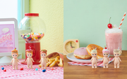 Snack Series Y1