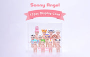 Acrylic Display Case H0