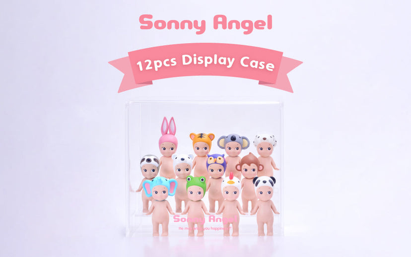 Acrylic Display Case H0