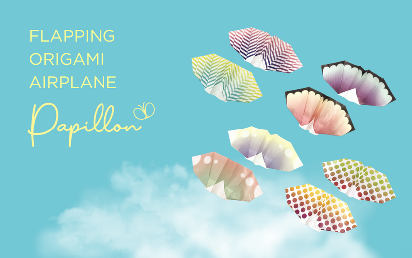 Papillon Origami Airplanes W8