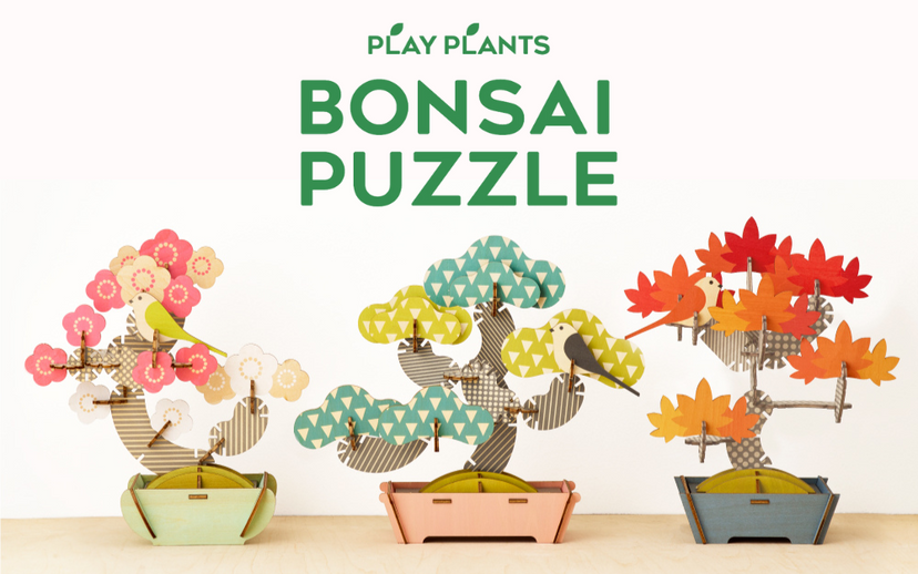 Play Plants Bonsai Puzzles T3