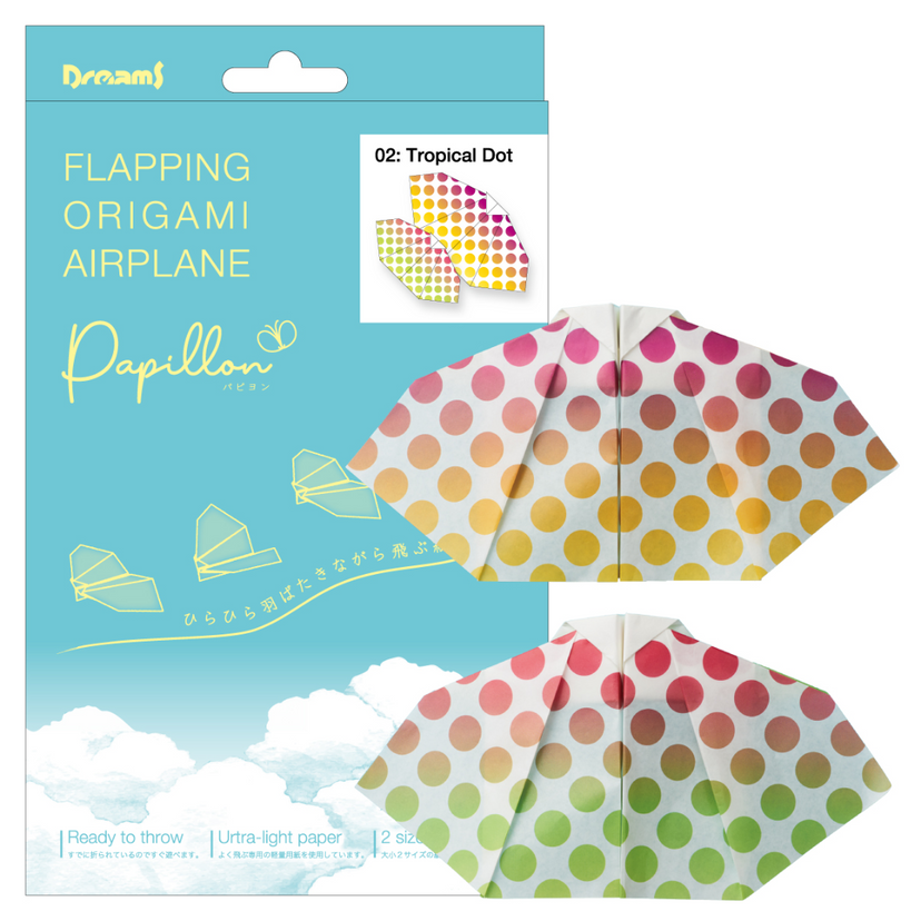 Papillon Origami Airplanes W8