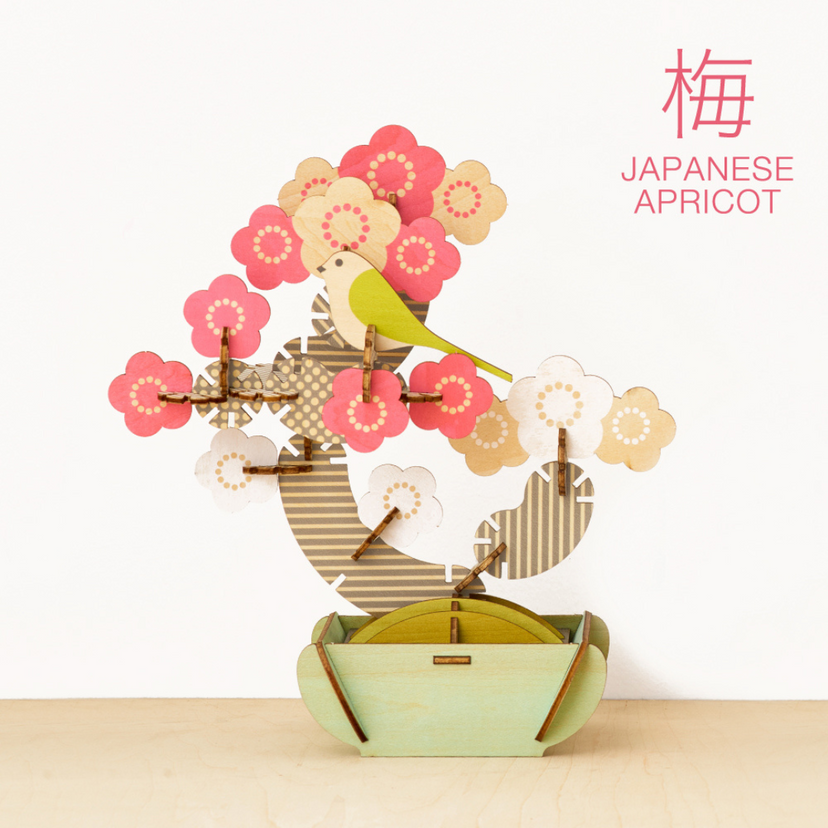 Play Plants Bonsai Puzzles T3
