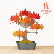 Play Plants Bonsai Puzzles T3