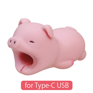 CABLE BITE for Type-C USB B6