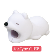 CABLE BITE for Type-C USB B6