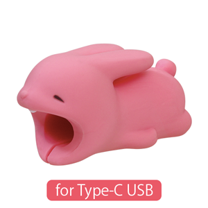 CABLE BITE for Type-C USB N9